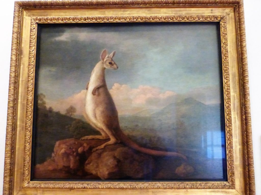 Painting of a kangaroo by Stubbs who had never seen one! 