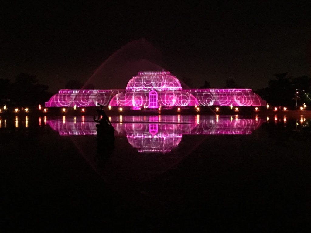 Kew at Christmas