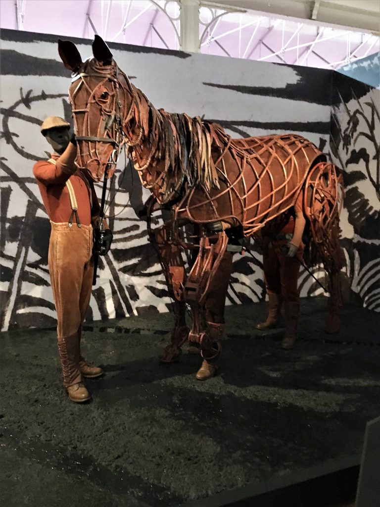 Joey War Horse 