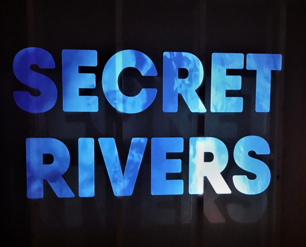 Secret Rivers Museum of London Docklands