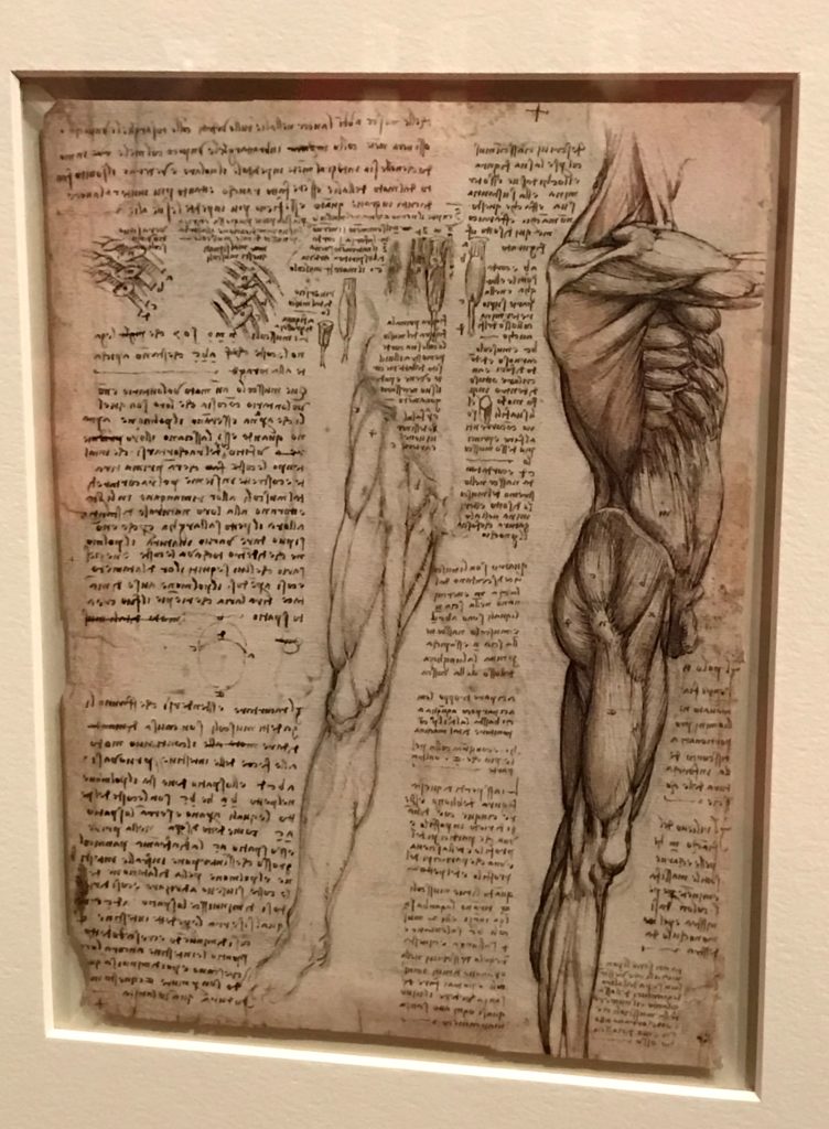 Leonardo da Vinci drawings