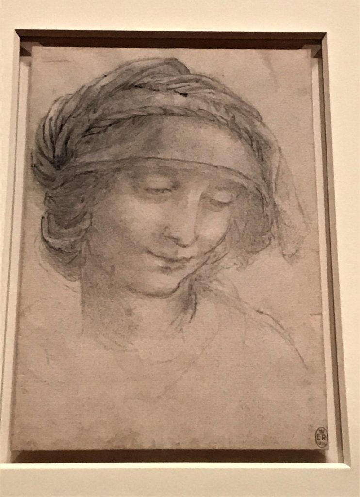 Leonardo da Vinci drawings